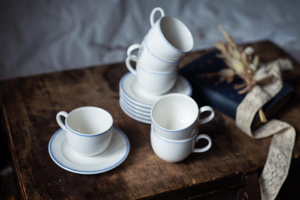 Vintage Villeroy & Boch Porcelain Coffee Set: White Blue Trim, German Tea Set