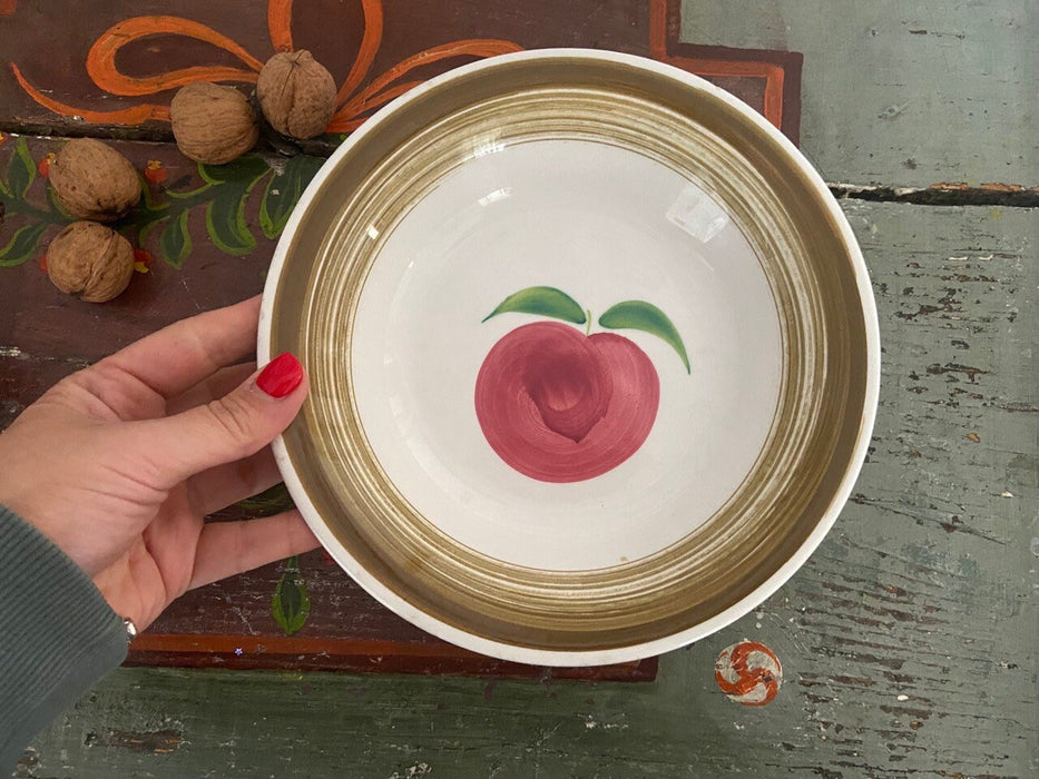 Rustic Ceramic Plate Featuring Hand Painted Apple Folk Art Pottery Decor