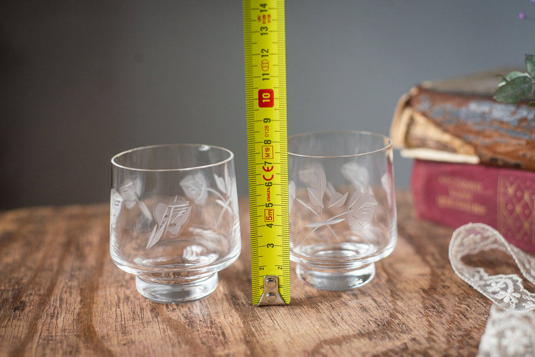 1970s Etched Shot Glasses – Set of 2