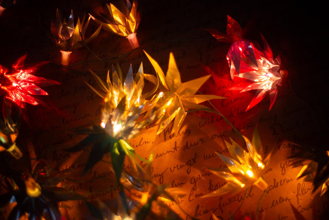 Vintage Chrysanthemum Christmas Lights, Retro Flower Tree Garland, Working Christmas String Lights