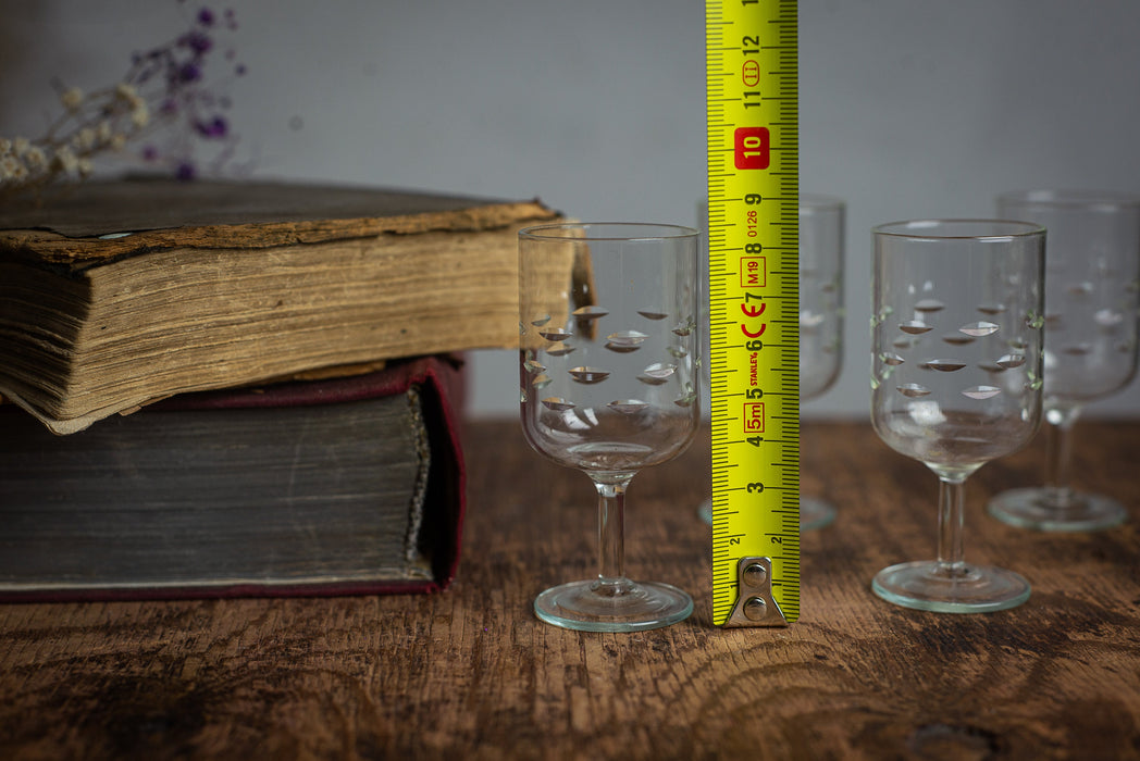 Vintage Czech Engraved Shot Glasses – Set of 6