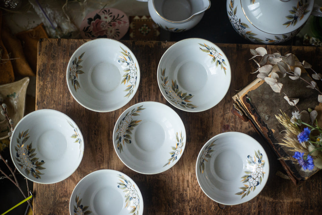 Vintage Floral Porcelain Dinner Set, Rustic Soup Tureen and Bowls Tableware