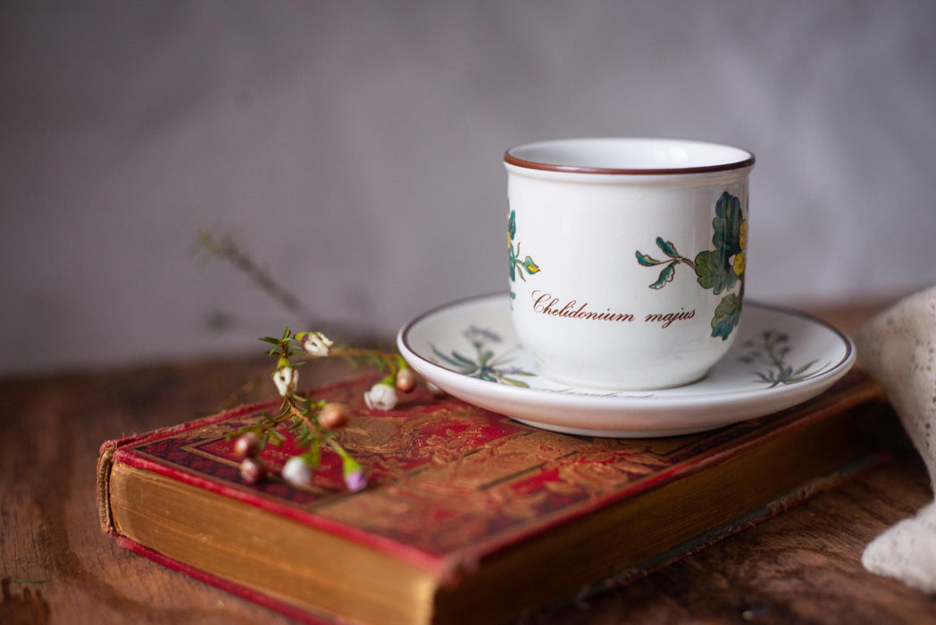Vintage Villeroy & Boch Botanica Espresso Cup and Saucer Floral Porcelain