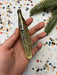 A hand holding a small, shiny, gold-colored object against a background of colorful confetti.