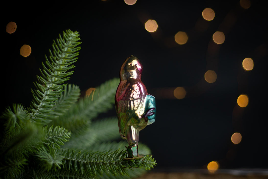 Vintage Glass Parrot Ornament, Whimsical Doctor Dolittle