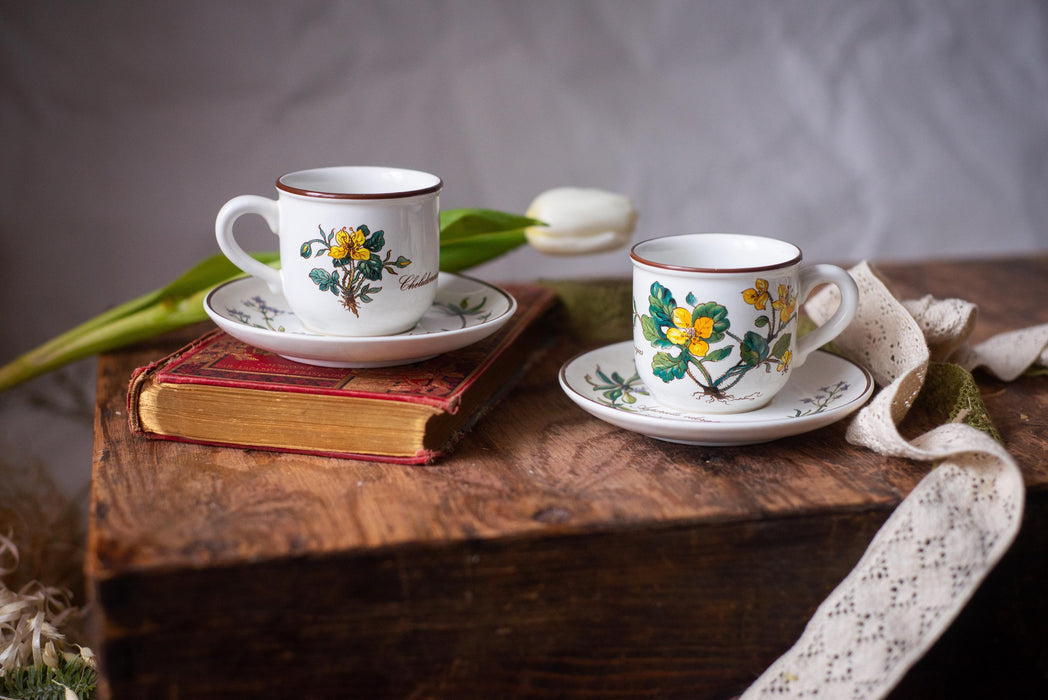 Vintage Villeroy & Boch Botanica Espresso Cup and Saucer Floral Porcelain