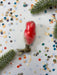 a red object, possibly a toy or ornament, surrounded by confetti and a green plant.