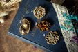 a collection of ornate jewelry, including brooches and earrings, displayed on a blue book with gold lettering.
