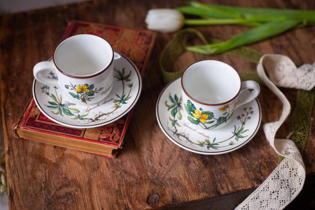 Vintage Villeroy & Boch Botanica Espresso Cup and Saucer Floral Porcelain