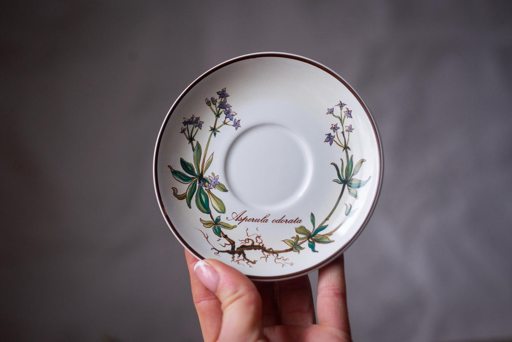 Vintage Villeroy & Boch Botanica Espresso Cup and Saucer Floral Porcelain