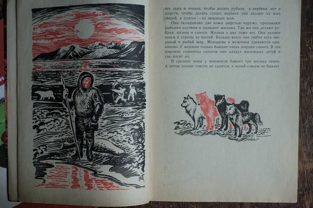 vintage russian children's books, Illustrated Animal Tales Pair