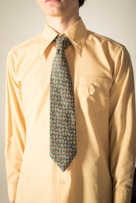 Vintage Silk Paisley Tie, 1980s Green Wide Necktie, Retro Men’s Classic Style