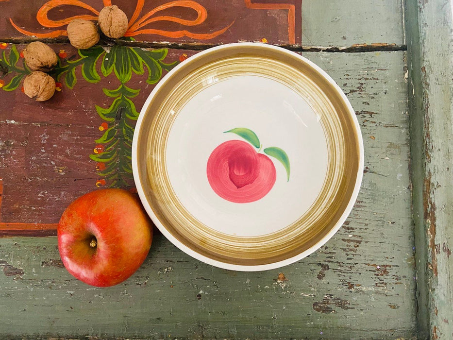 Rustic Ceramic Plate Featuring Hand Painted Apple Folk Art Pottery Decor