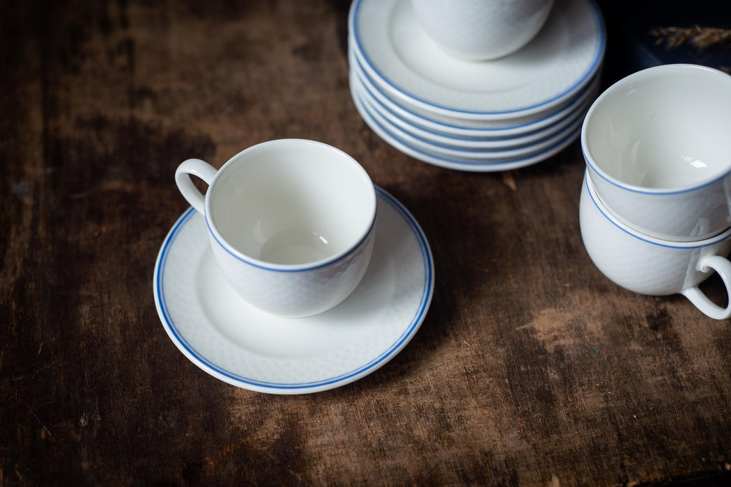 Vintage Villeroy & Boch Porcelain Coffee Set: White Blue Trim, German Tea Set
