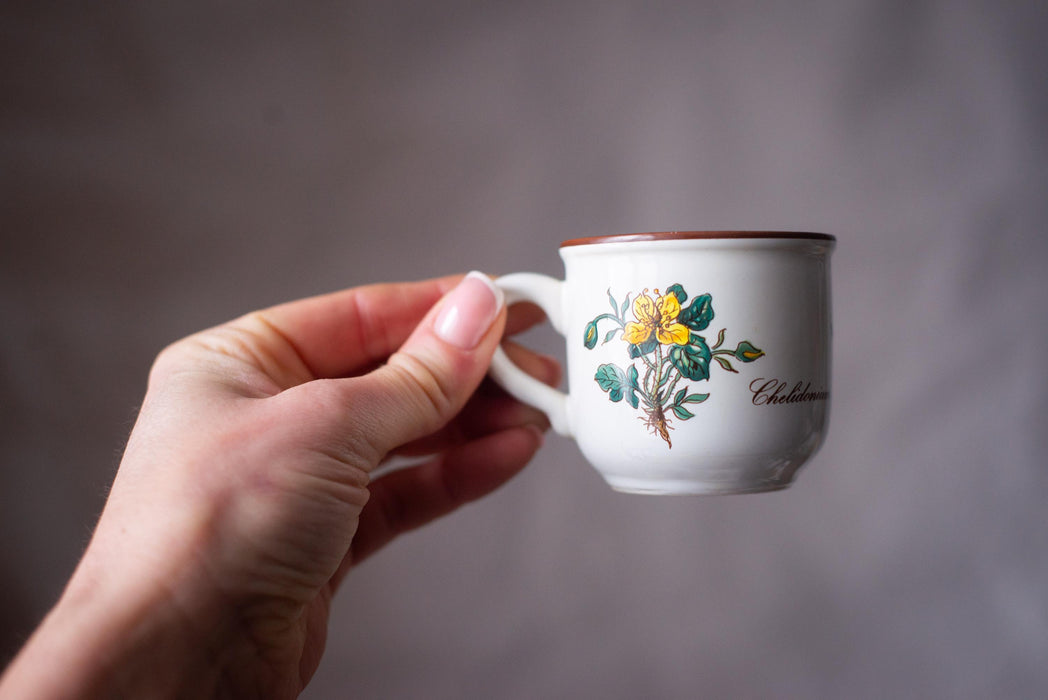Vintage Villeroy & Boch Botanica Espresso Cup and Saucer Floral Porcelain