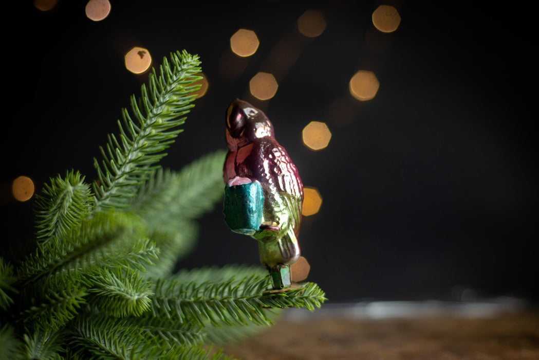 Vintage Glass Parrot Ornament, Whimsical Doctor Dolittle