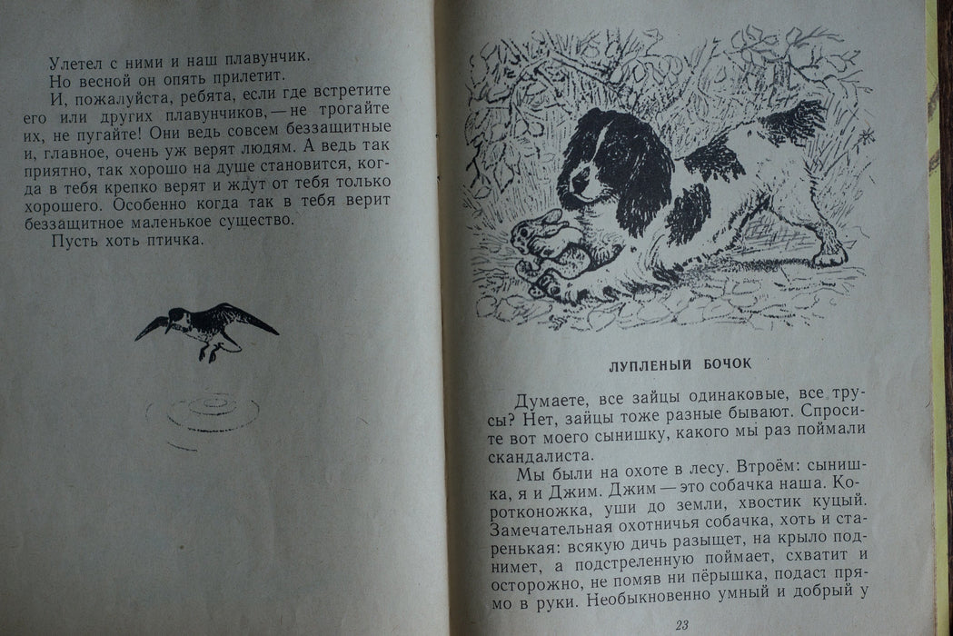 vintage russian children's books, Illustrated Animal Tales Pair