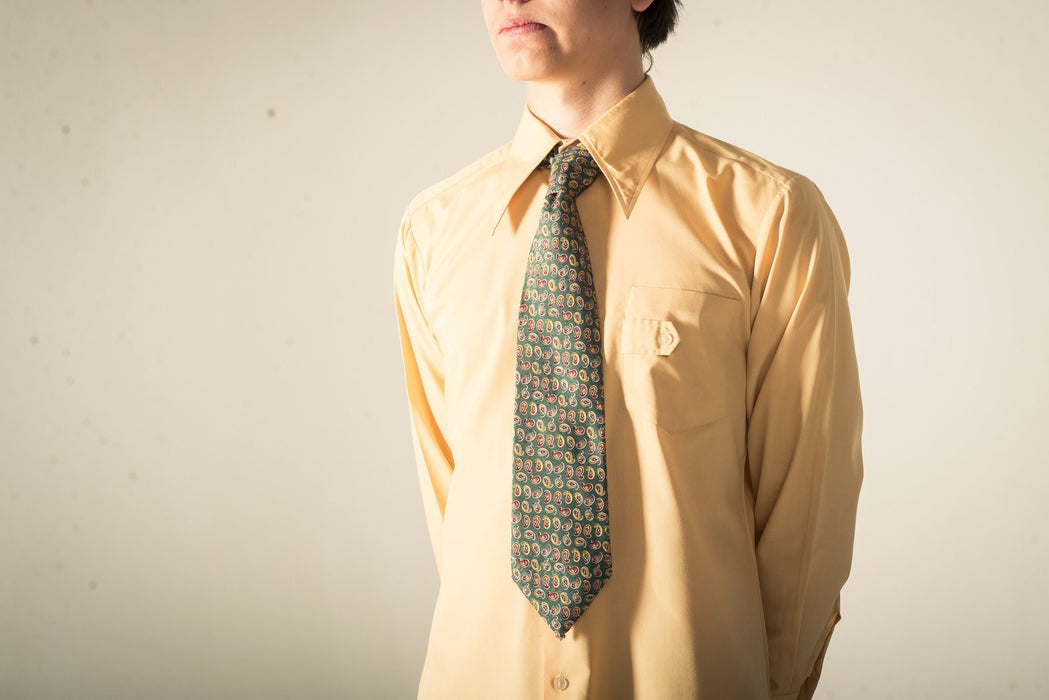 Vintage Silk Paisley Tie, 1980s Green Wide Necktie, Retro Men’s Classic Style